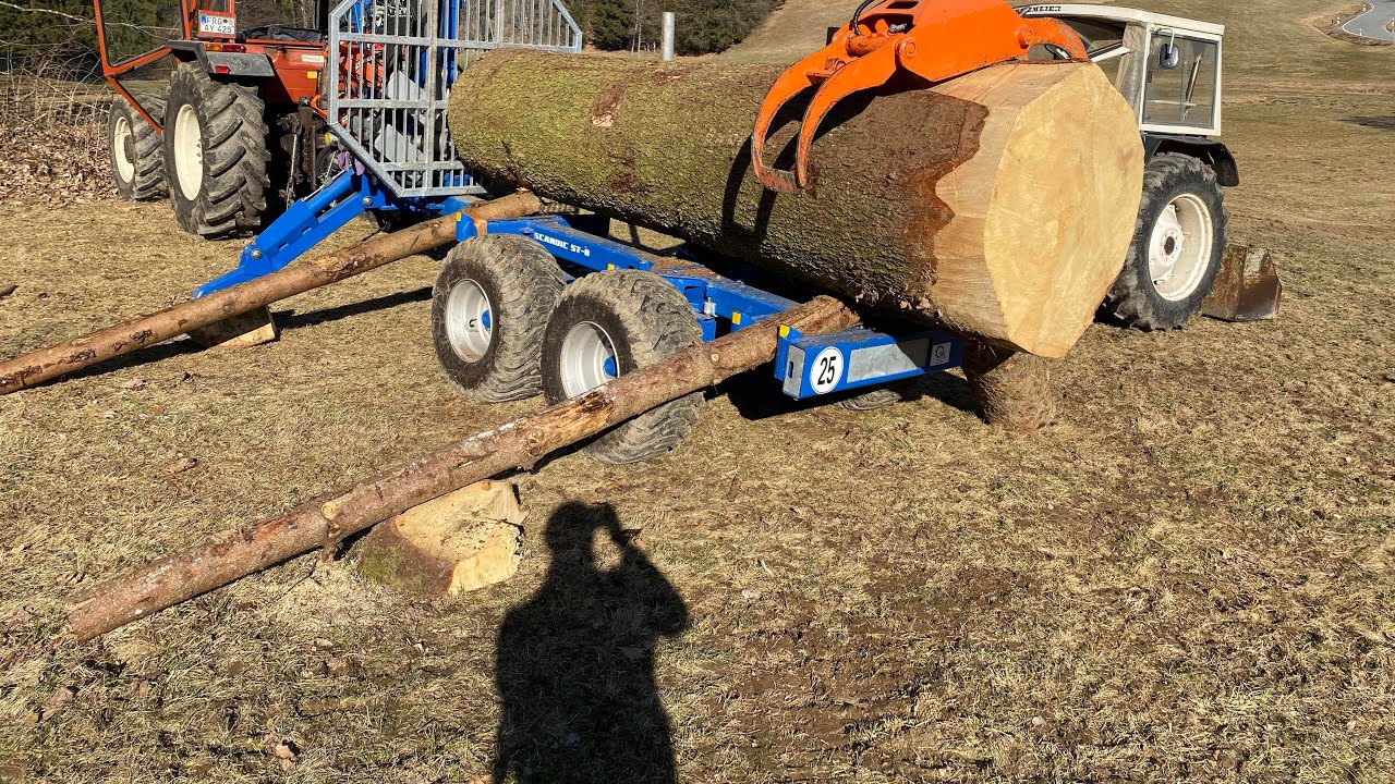 Einfach zu dick und zu schwer. Frisch geschlagene XXL Fichte mit 4m3 verladen