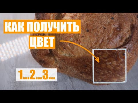 Видео: КАК ПОЛУЧИТЬ ЯРКУЮ КОРКУ У ХЛЕБА.