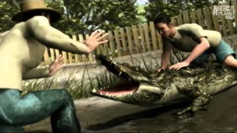 3D ALLIGATOR Animations