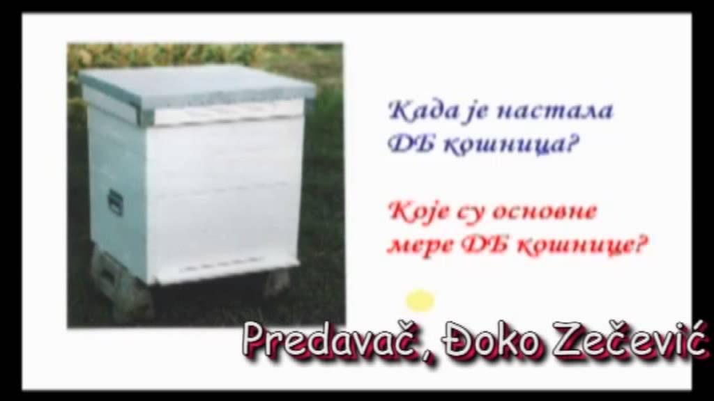 Ðoko Zecevic - DB 10-toramna košnica, neke prednosti