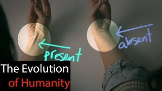 AMAZING - Proof of evolution that you can find on your body