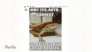 Reptile memes.
