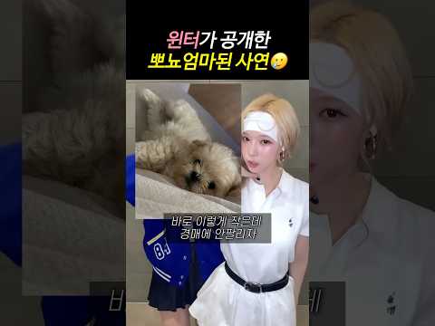 에스파 팬들이 윈터 반려견 뽀뇨 행복을 비는 이유
