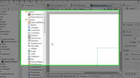 Flex 4 Form with Validation Part 1