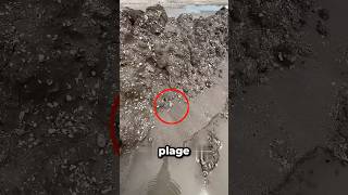 He Found A $10,000 Shark Tooth 😮