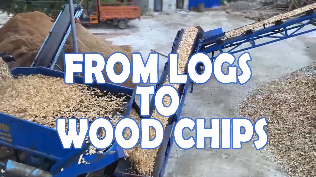 The Production Process from Logs to Wood Chips New YouTube