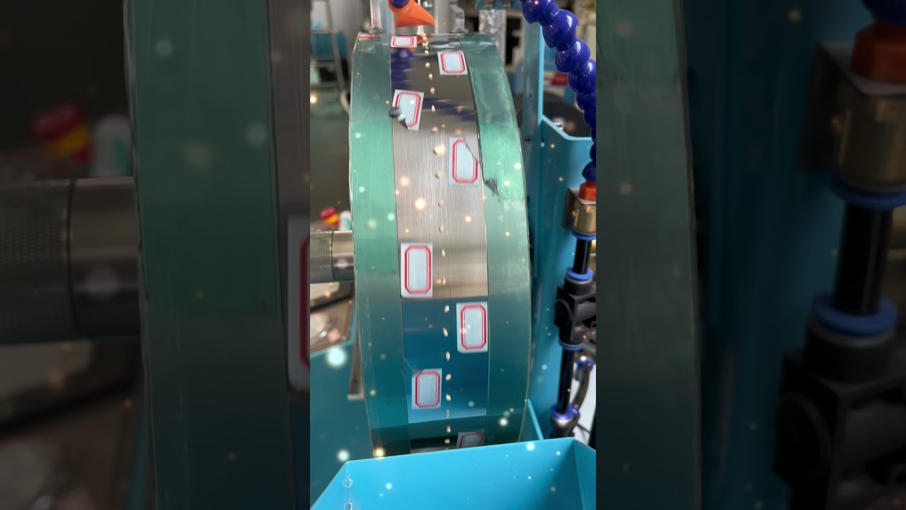 Sesame seeds are braided into ropes, not only saves seed costs but also enables precision sowing