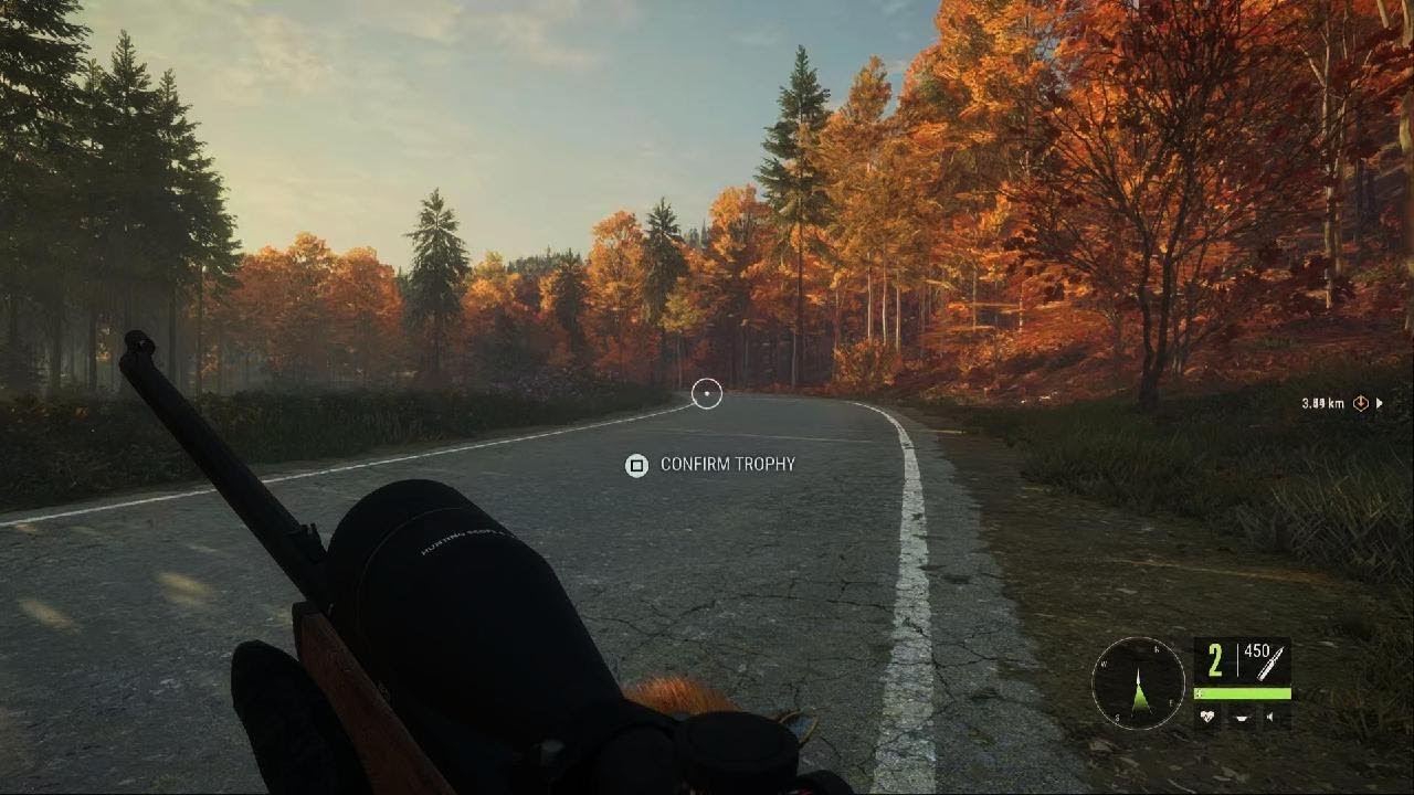 I saw a dead fox on the road and then...