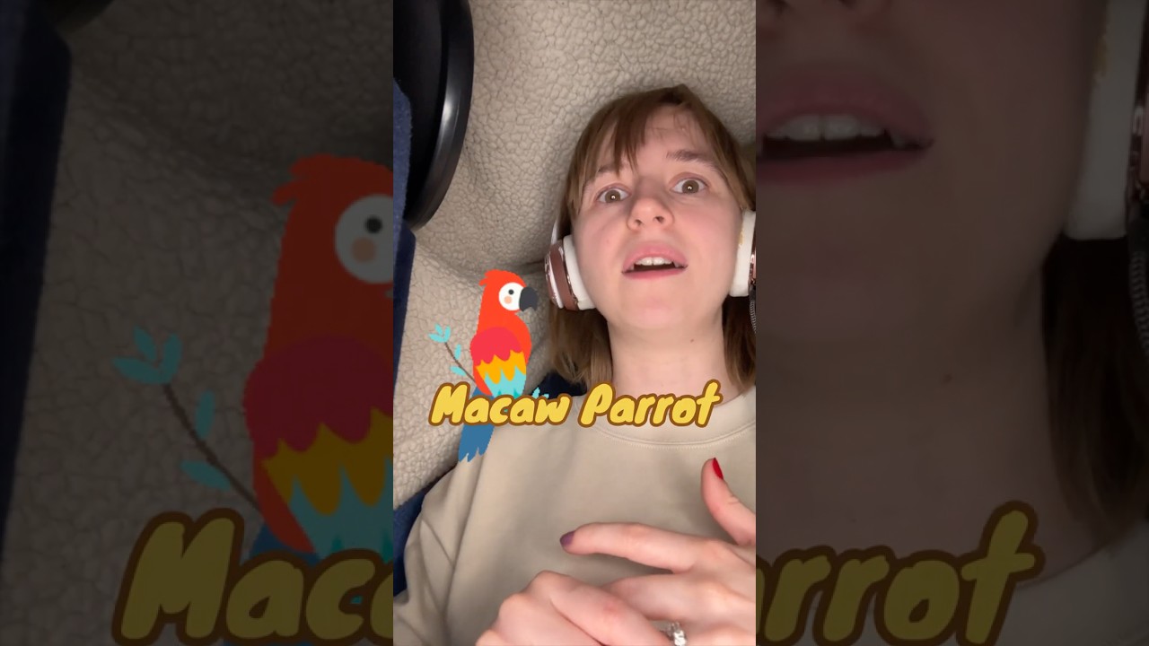 Animal and Creature Sounds: Macaw Parrot