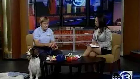 Back to School Tips - Bark Busters Dog Training - ...