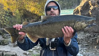 This Spot Is Loaded With Salmon | Salmon Fishing Niagara River