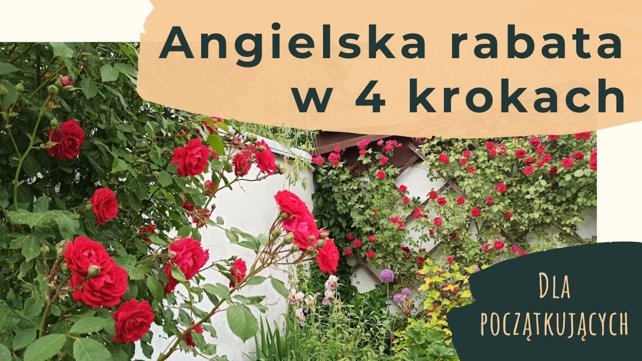 4 kroki do pięknej rabaty ‐ proces projektowania rabat całorocznych