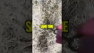 Jacob Threw The Key Away… Now They’re Stuck