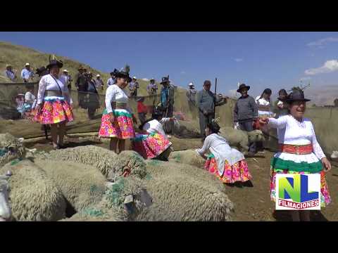 SANTIAGO CANIPACO  2019  LOS MAGNATES DEL PERU De Magno Medina