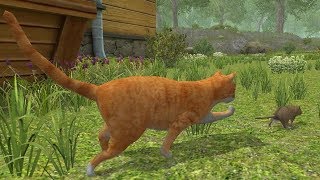 Mouse Simulator Android Gameplay screenshot 5