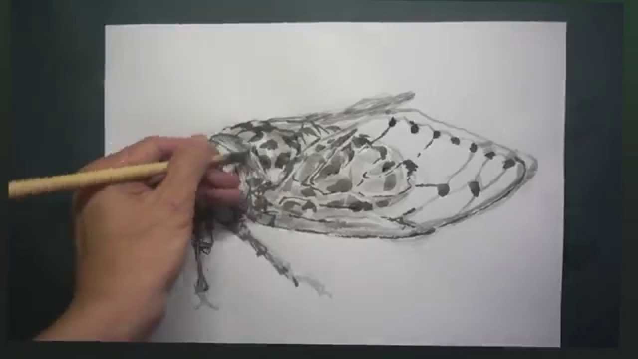 How To Draw 描き方 セミ Cicada を墨でデッサン 8倍速 Youtube