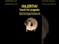 vc foi pugado