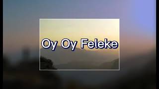 oy feleke -remix tictok #tiktok Resimi