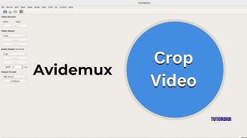 How To Crop Video In Avidemux? - Avidemux Video Editor Tutorial #5