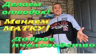 видео: Пасека с нуля №6! Как сделать ОТВОДОК на слёт и однорамочный облётник! ЗАМЕНА МАТОК В ОСНОВНОЙ СЕМЬЕ картинка: Пасека с нуля №6! Как сделать ОТВОДОК на слёт и однорамочный облётник! ЗАМЕНА МАТОК В ОСНОВНОЙ СЕМЬЕ