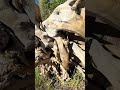 Check out my latest video