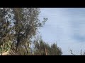 قصص العشرية حكاية سيلين تحكي لنا الخوف والرعب لي عاشتو في سنوات الجمر العشرية السوداء 