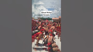 Pasukan Merah Dayak. #pasukanmerahdayak