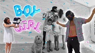 THE BEST GENDER REVEAL!!!