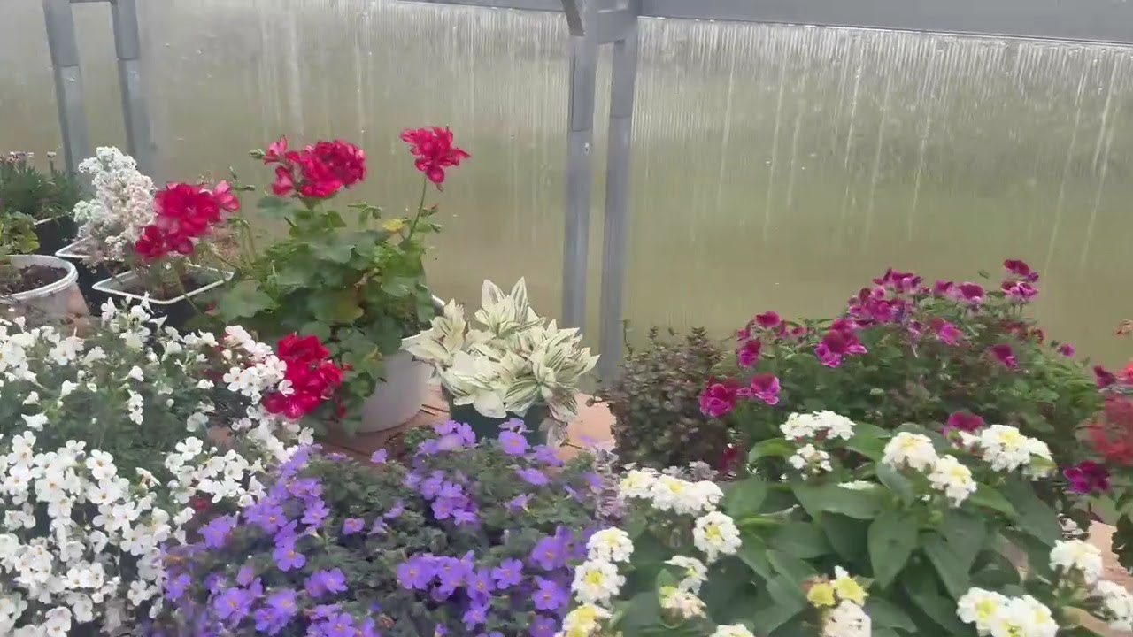 Вдогонку к обзору теплицы