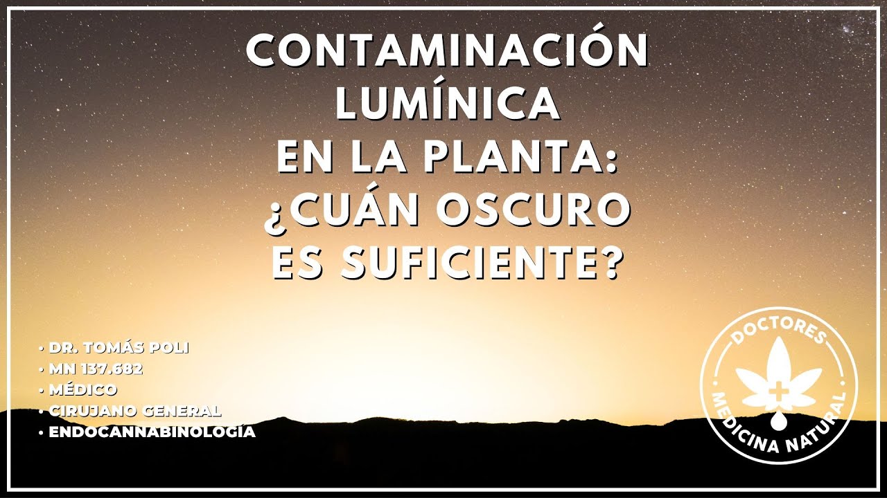 Contaminación lumínica en Cannabis. (Light pollution in Cannabis)