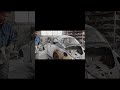 Abandoned Volkswagen Beetle Restoration