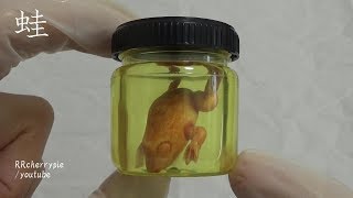 恐怖標本 Specimen フラスコ Laboratory flask 視線