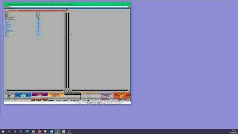 Directory Opus 4 - Basic configuration Options