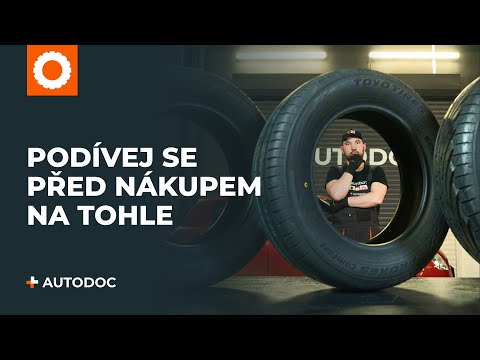 Video: Co je třeba zvážit před nákupem perské kočky