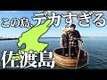 【1泊2日】日本最大級の離島 佐渡島って何があるの？