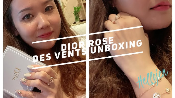 Louis Vuitton Diane Bag Review: What fits, mod shots, impressions