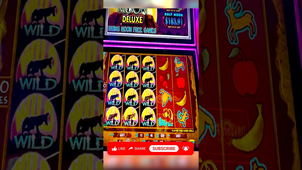 The Wilds Showed Up & DELIVERED #730slots #shorts #gambling #casino