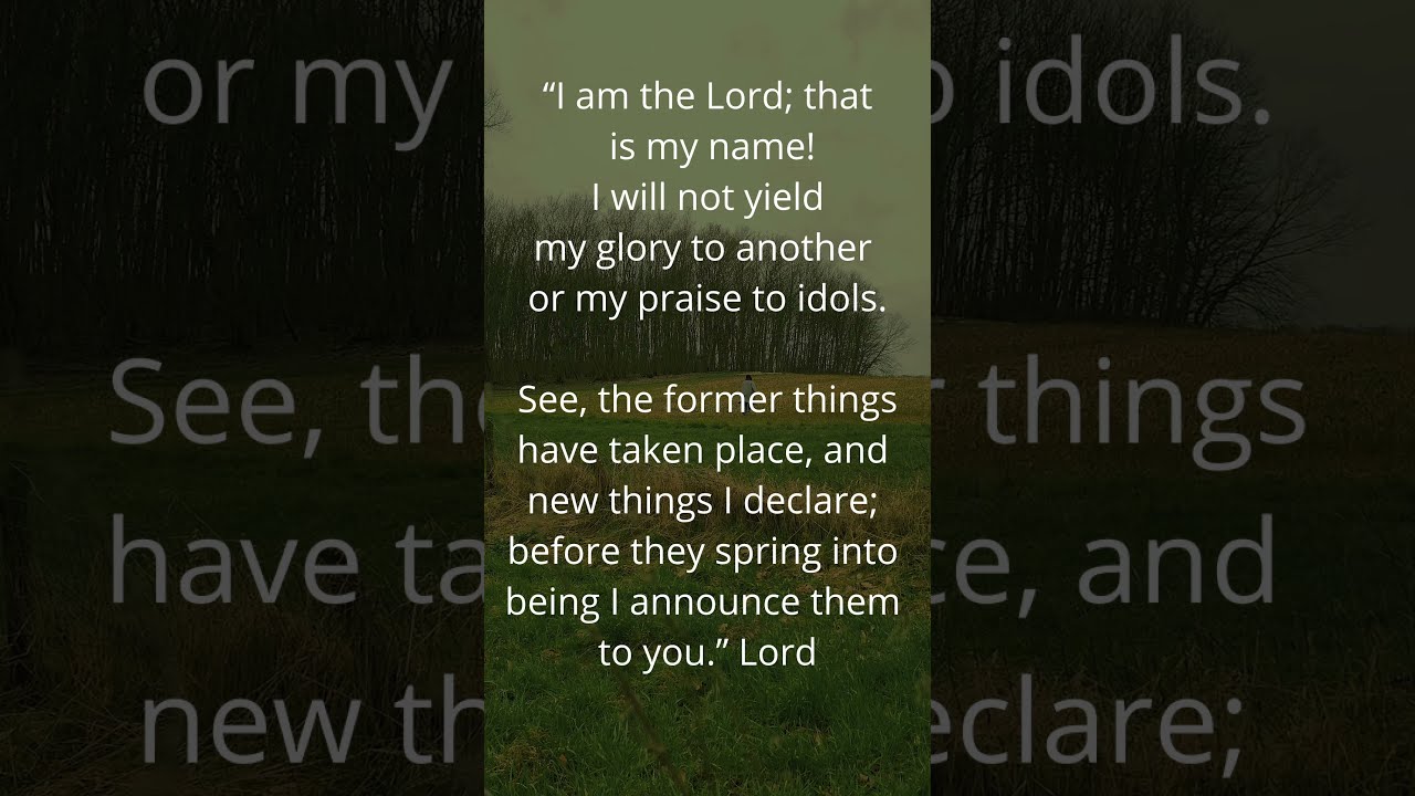 Isaiah 42 8 9 shorts scripture godisgood lord bible reminder Isaiah 42 8 9 shorts scripture godisgood lord bible reminder