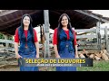 SELEÇÃO DE LOUVORES - Madalena e Monica Levitas