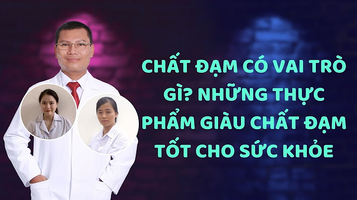 Chất đạm là những thức ăn gì năm 2024