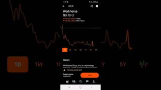Workhorse  Stock Market Investing