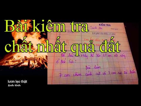 Video Bài văn tả bà và bài kiểm tra sinh học chất hơn nước... - youtube