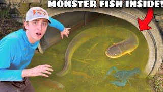 I Found a MONSTER Living in a Creepy Tunnel! by Bass fishing Productions 2,442,709 views 6 months ago 29 minutes