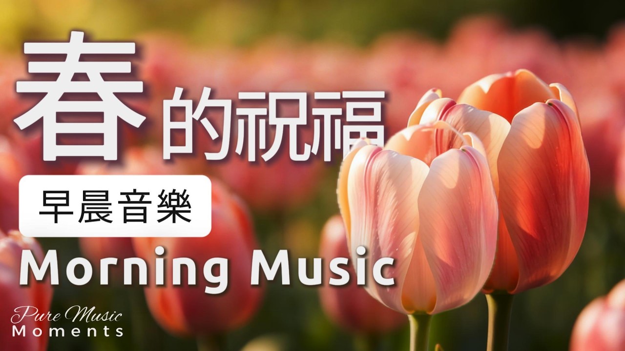 早晨音樂時光 |🌤️鬱金香的祝福鋼琴音樂 1小時｜早晨療癒旋律｜放鬆・專注・讀書・工作｜鋼琴水晶音樂｜如花般溫柔綻放的清晨 #morningmusic #pianomusic #鋼琴音樂