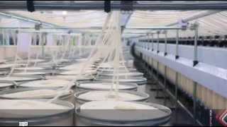 Fabrika (Tesis) üretimi üzerinde maliyet muhasebesine genel bakış