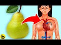What Happens To Your Body When You Eat Pears Every Day What Happens To Your Body When You Eat Pears Every Day