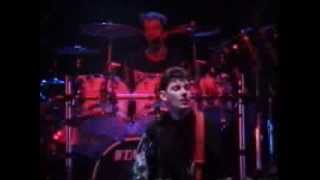 Stiff Little Fingers - Fly the Flag (Live)