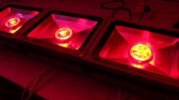 Ableled DMX512 RGB floodlight   www.ableled.com