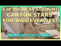 2023 Newmar Canyon Star Quick Review with Chris | Mount Comfort RV