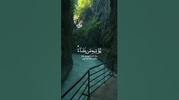 قران حالات واتس | للقارئ شريف مصطفى | حالات واتس اب دينيه♥♥.